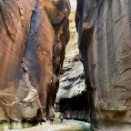 Day 11 – Zion