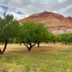 Day Seven – Capitol Reef